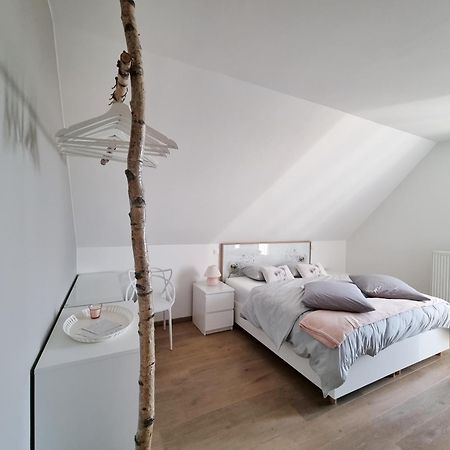 Les Arbres Sous Le Vent A 10 Min De Pairi Daiza Bed & Breakfast Jurbise ภายนอก รูปภาพ